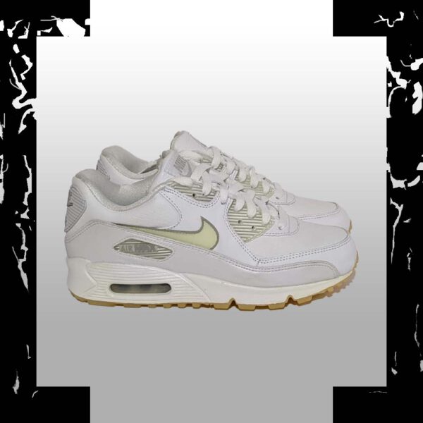 Nike Air Max 90