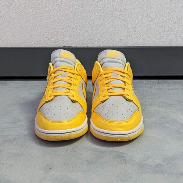 Nike Dunk